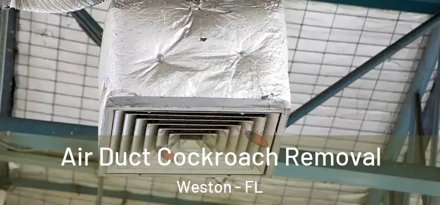 Air Duct Cockroach Removal Weston - FL