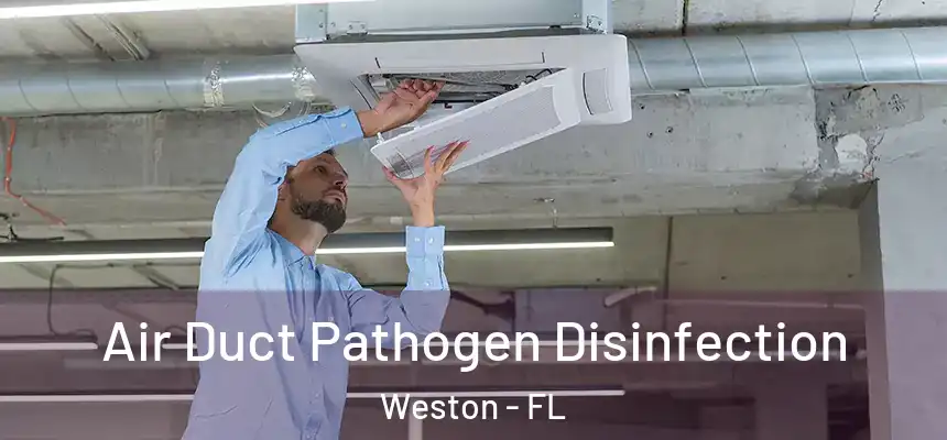Air Duct Pathogen Disinfection Weston - FL