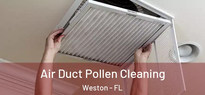 Air Duct Pollen Cleaning Weston - FL