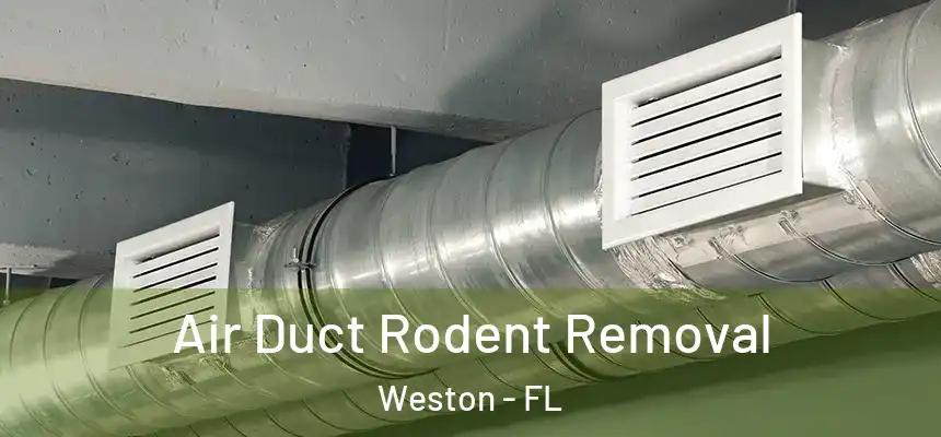 Air Duct Rodent Removal Weston - FL