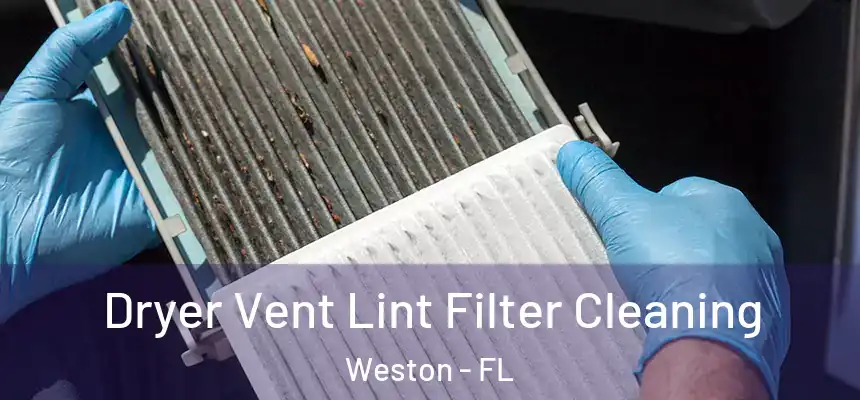 Dryer Vent Lint Filter Cleaning Weston - FL