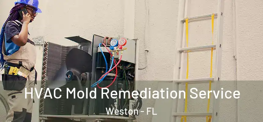 HVAC Mold Remediation Service Weston - FL