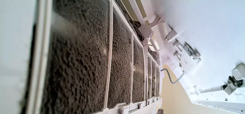 Preventive Air Duct Bacteria Removal in Weston