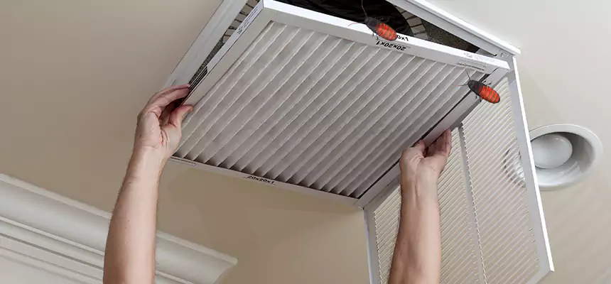 Preventive Cockroach-Proofing for Ducts in Weston