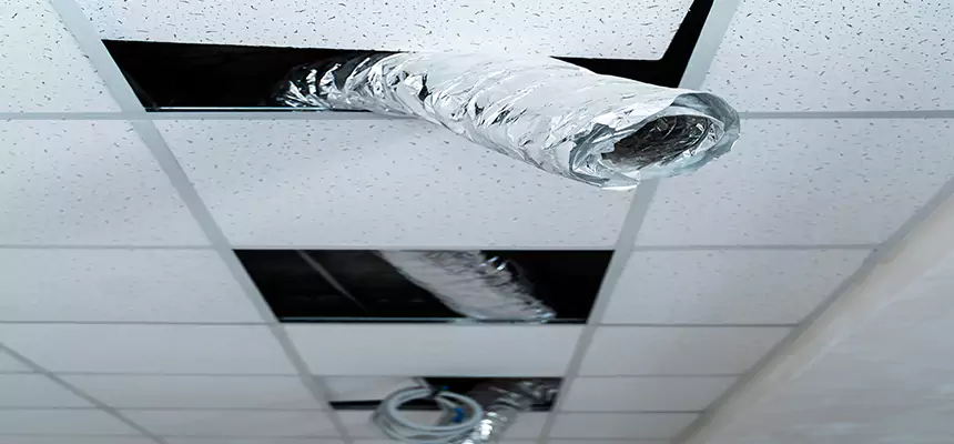 Our Air Duct Pet Hair Removal Services in Weston, FL