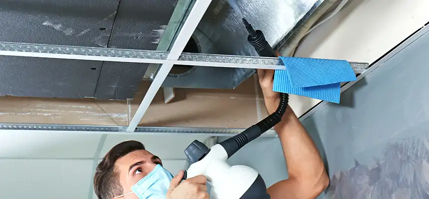 Our Air Duct Rodent Removal Services in Weston, FL