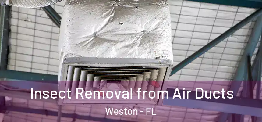 Insect Removal from Air Ducts Weston - FL