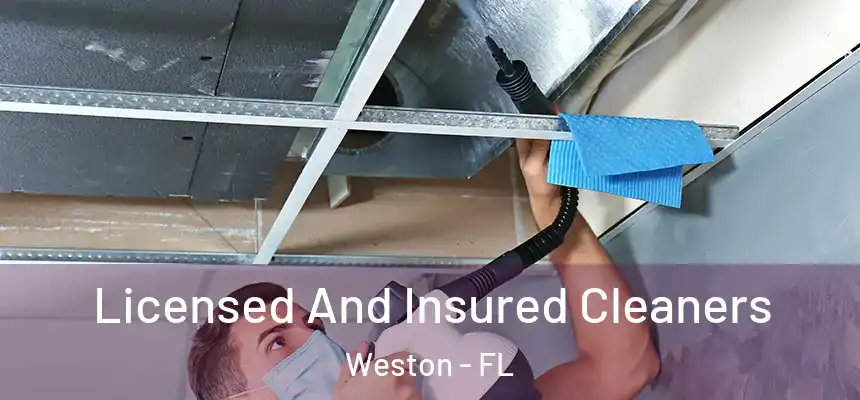 Licensed And Insured Cleaners Weston - FL
