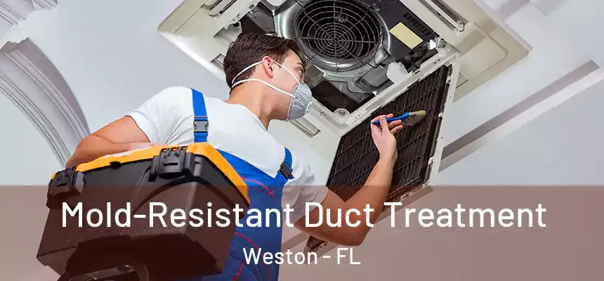  Mold-Resistant Duct Treatment Weston - FL