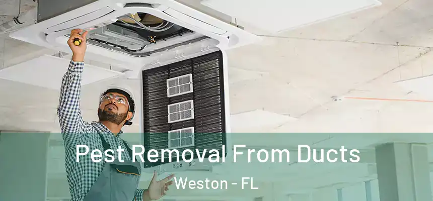 Pest Removal From Ducts Weston - FL
