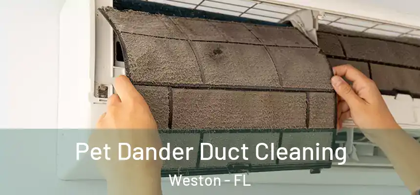 Pet Dander Duct Cleaning Weston - FL