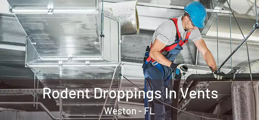 Rodent Droppings In Vents Weston - FL