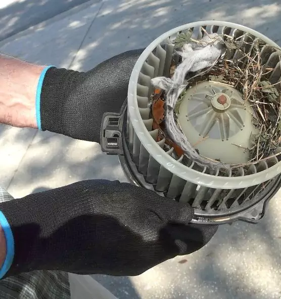 About Air Duct Mice Removal in Weston, FL