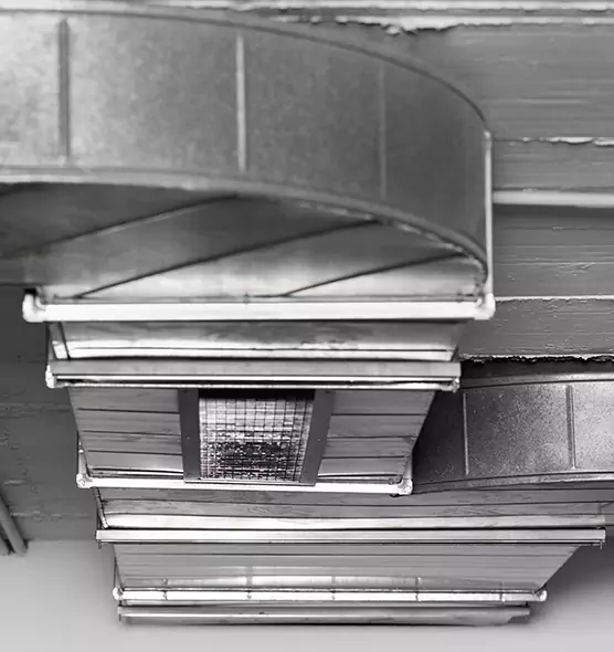 Professional Air Duct Pest Removal in Weston, FL