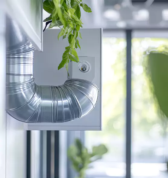 Professional Eco-Safe Dryer Vent Cleaning in Weston, FL