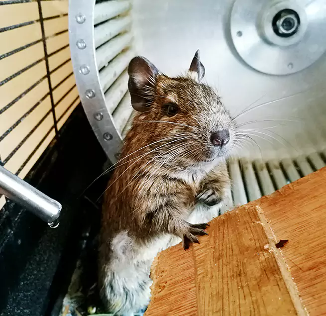 Why Homeowners & Businesses Trust Us Weston, FL?