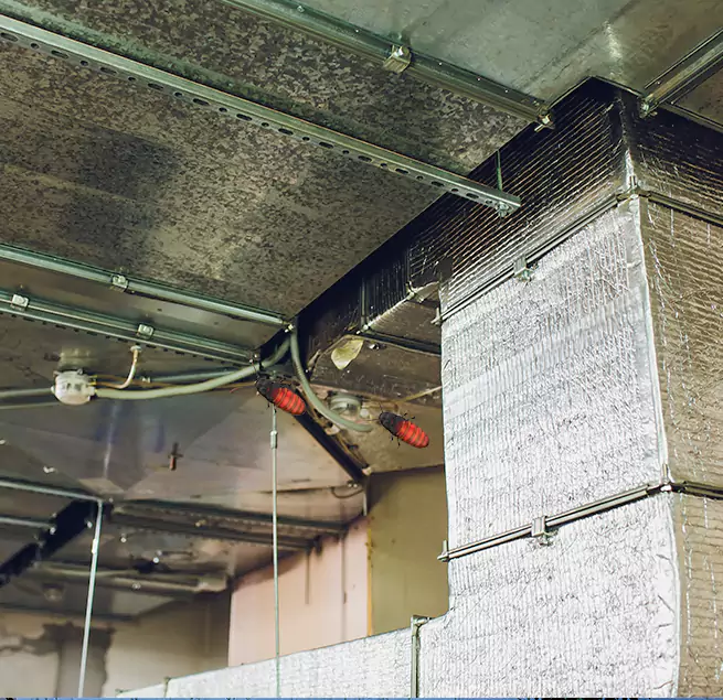 Why Homeowners & Businesses Trust Us Weston, FL?